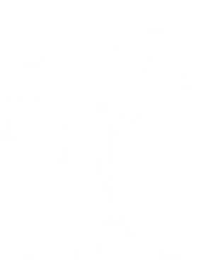 Isologo Aurunne